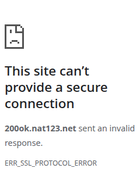 网站截图 200ok.nat123.net