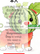 网站截图 91vip.ct.ws