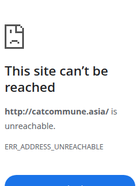 网站截图 catcommune.asia
