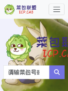 网站截图 icp.cab